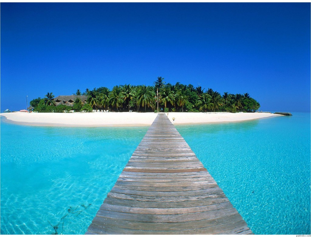 Top 5 Honeymoon Destinations In India Trendingtop5