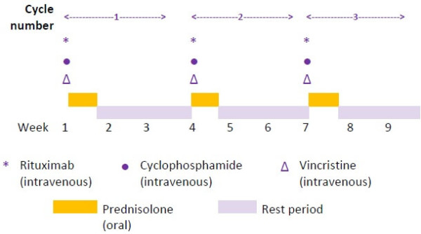 How_does_chemotherapy_work_cycle