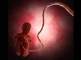 pregnancy-myths-umbilical-cord