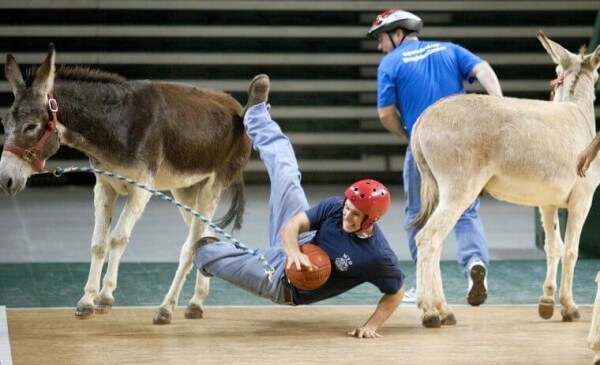 Weird-games-unusual-sports-Donkey-Basketball
