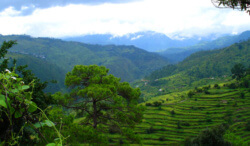 Places-To-Visit-In-August-In-India-ranikhet