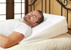 Back-sleeper-pillow 