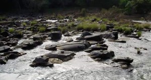 River-shalmala
