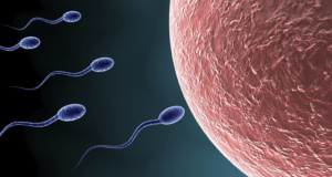 infertility-treatment-in-india