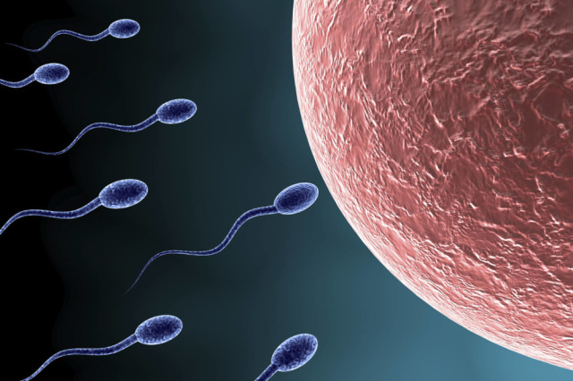 infertility-treatment-in-india