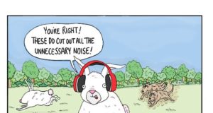 noise-cancelling-headphones