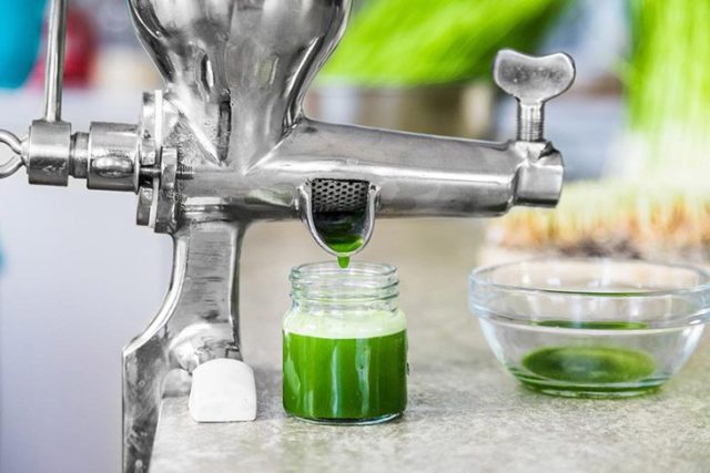 wheatgrass-juicer