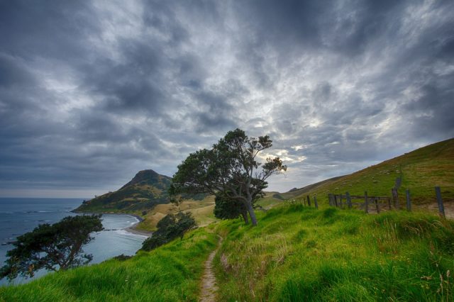 new zealand