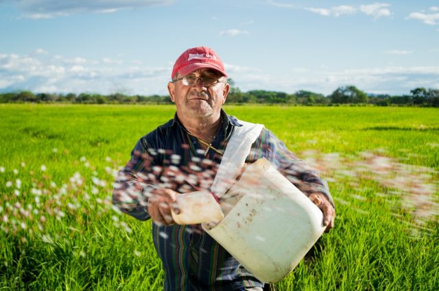 agriculture